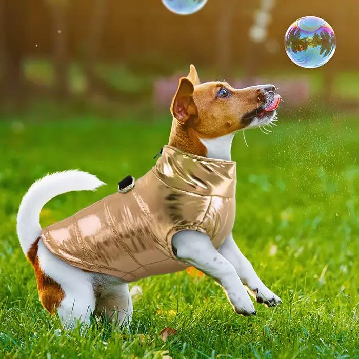 Vêtements imperméables pour petits chiens, veste pour chiots et animaux de compagnie, gilet chaud d'hiver, manteau pour Chihuahua bouledogue français