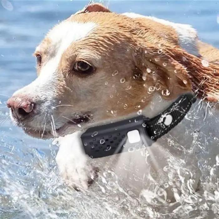 Collier Anti-Aboiement Électrique pour Chien