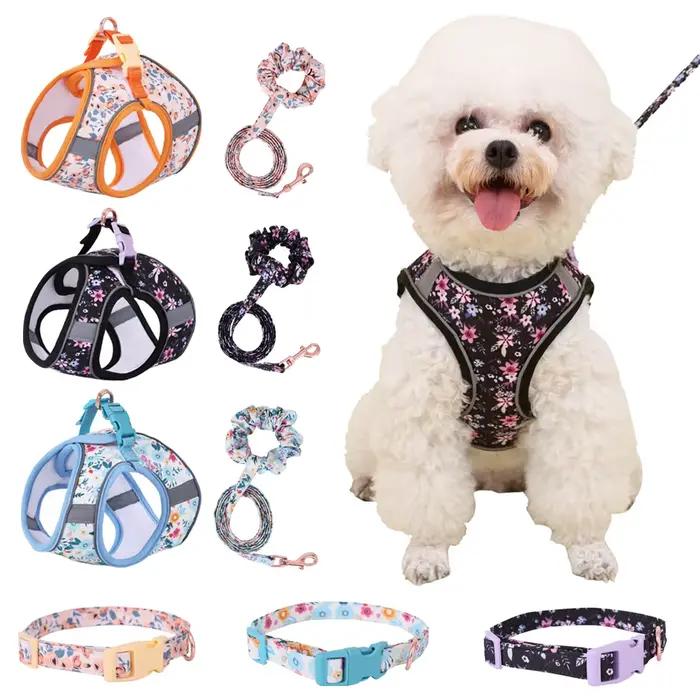 Ensemble de harnais et laisse pour petit chien