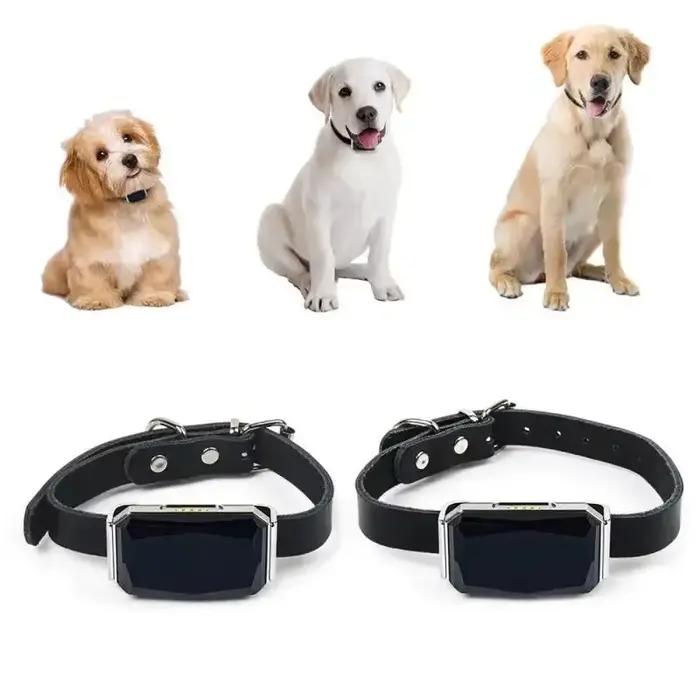 Collier pour animaux de compagnie étanche IP67