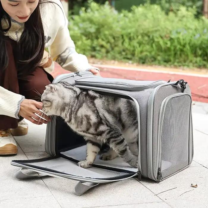 Sac de Transport Portable pour chien et chat