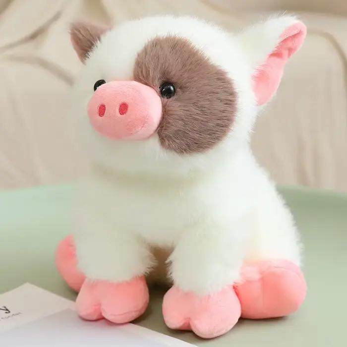 Jouet de démarrage pour chiots et chatons