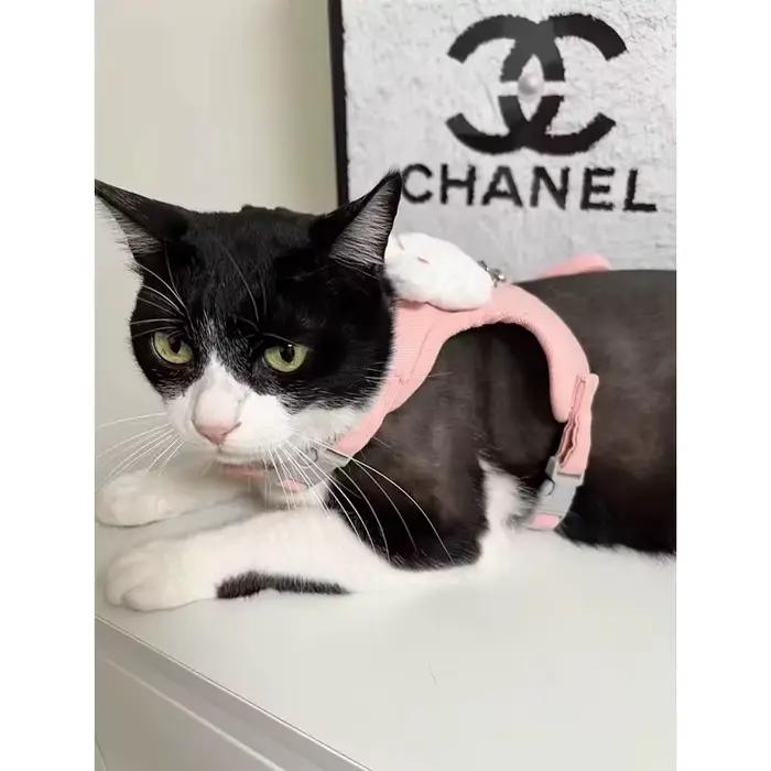 Harnais de traction réglable anti-rupture pour lapins nains aux oreilles tombantes