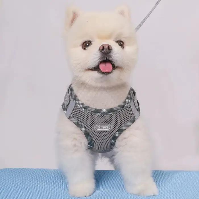 Harnais pour chien Supet 1 pièce