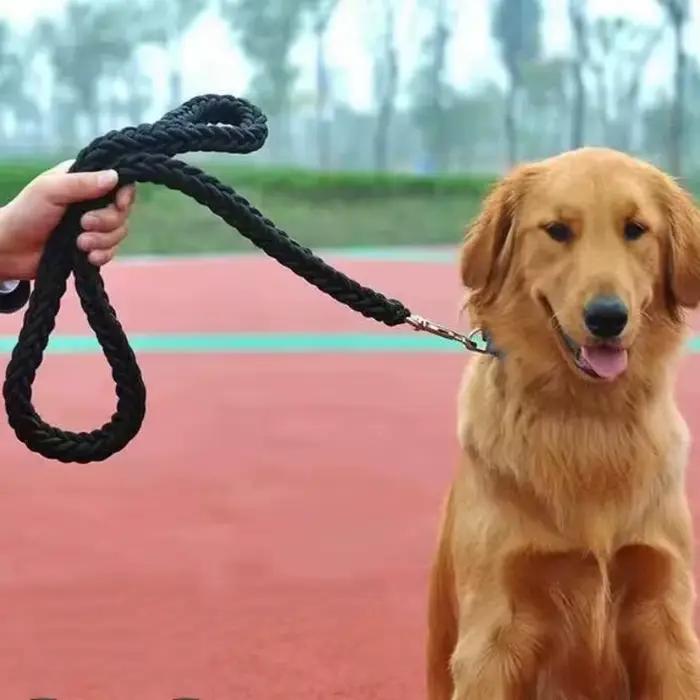 Grande laisse pour chien