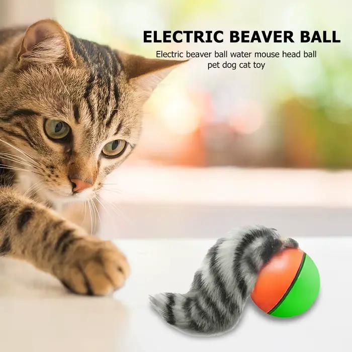 Balle roulante électrique pour animaux de compagnie