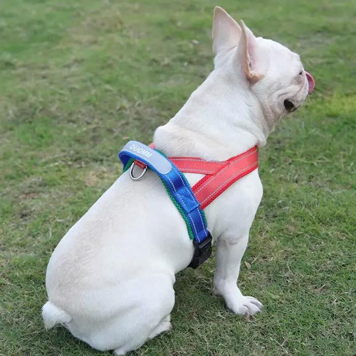 Harnais pour chiens, type selle