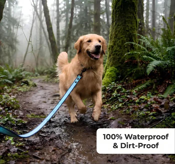 Laisse de dressage pour chien en PVC ondulé antidérapant de 2 mm d'épaisseur