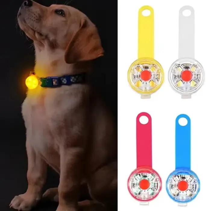 Collier pour chien, collier de perte