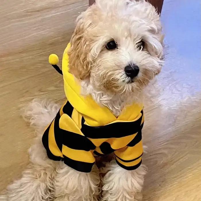 Vêtements pour animaux de compagnie Bee Pet : Manteau