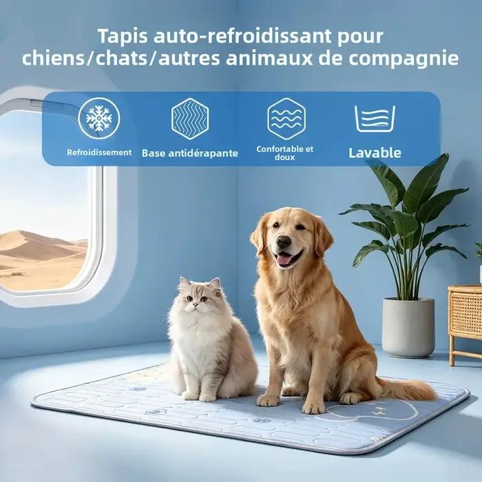 Tapis rafraîchissant pour chien