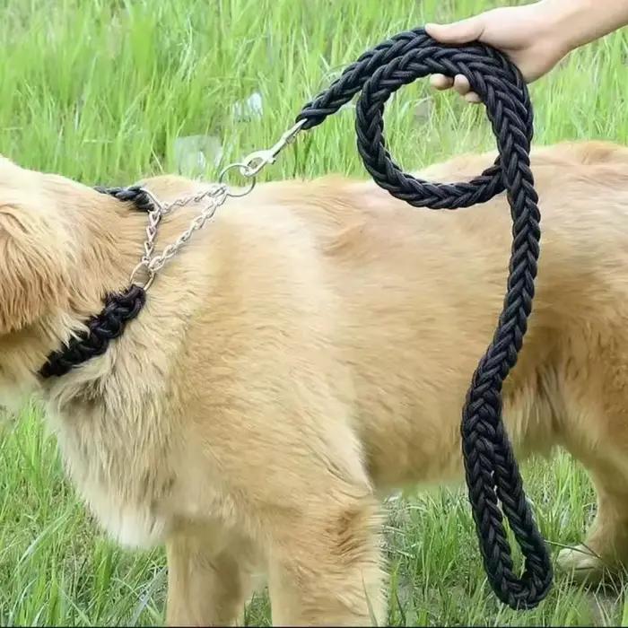 Laisse d'entraînement pour grands chiens