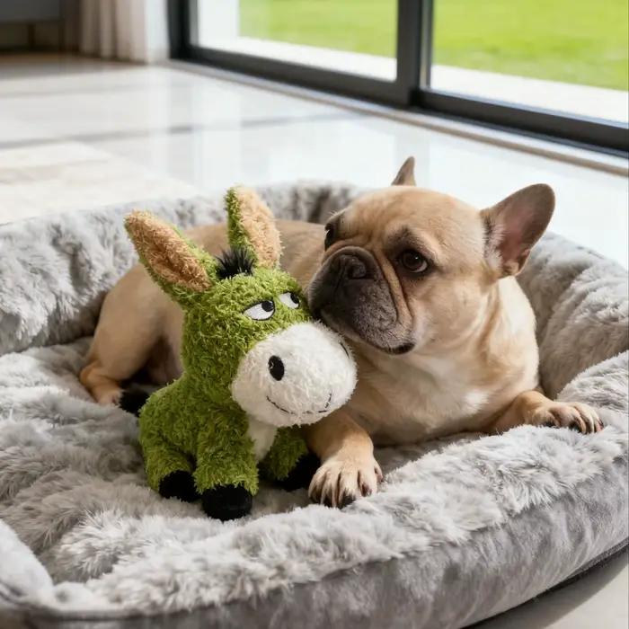 Jouet interactif pour chien résistant à la mastication