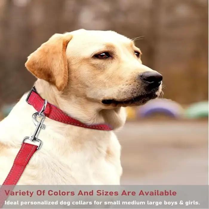 Collier réfléchissant pour chien