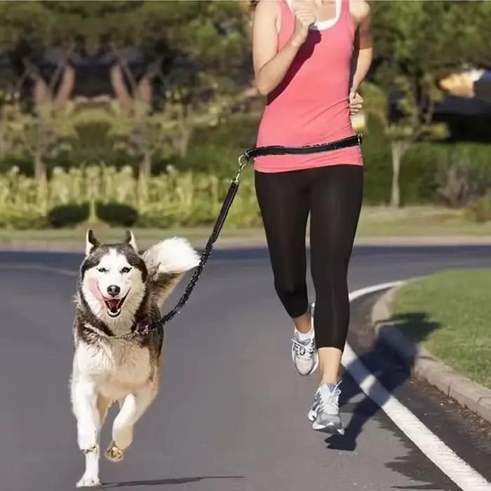 Laisse de chien mains libres pour animaux de compagnie marche course Jogging