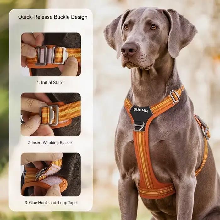 Harnais de poitrine pour chien avec laisse