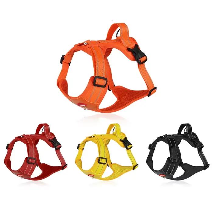 Harnais pour chien laisse pour animaux de compagnie