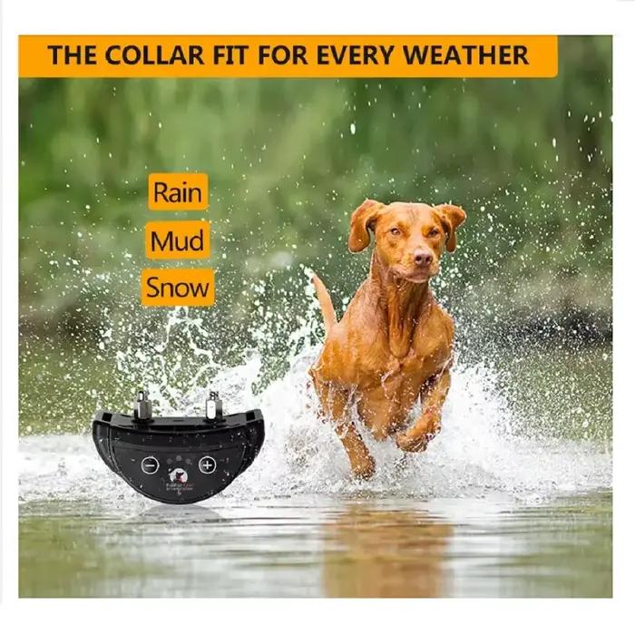 Collier Anti-Aboiement pour Chien de Compagnie