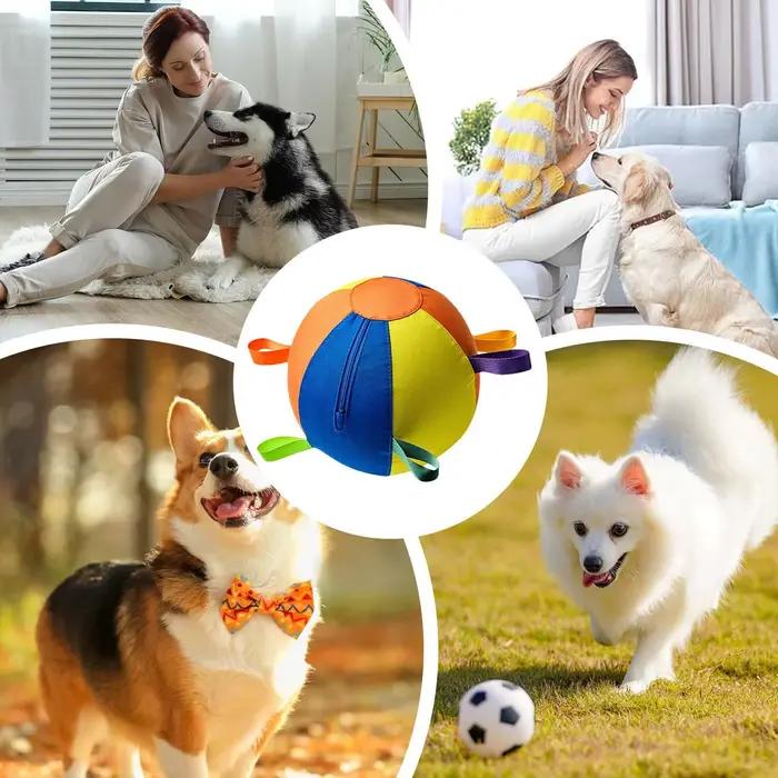 Balles pour chien portables