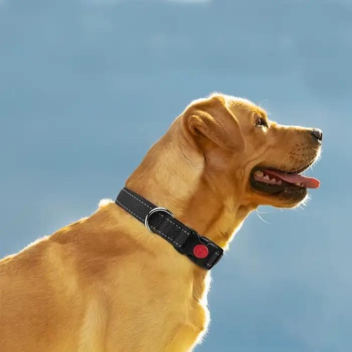 Collier Réfléchissant Réglable pour Chien, Sangle de Sécurité en Nylon Respirante et Douce Anti-Traction pour l'Entraînement