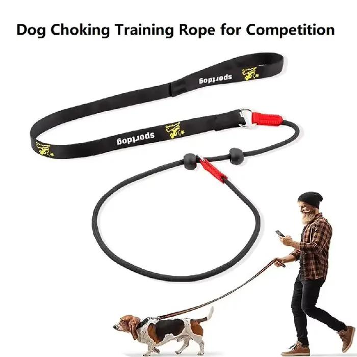 Laisse de dressage pour chien anti-étranglement 2-en-1