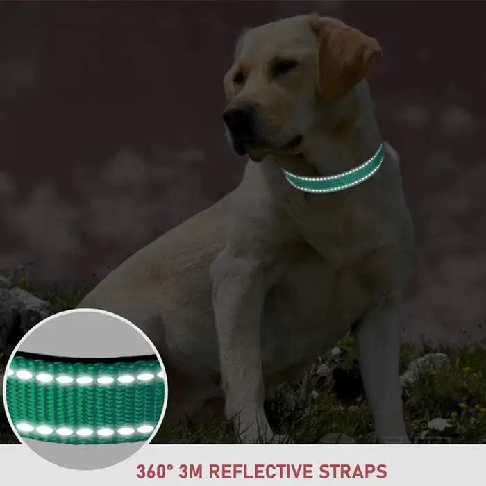 Collier en Nylon pour animaux de compagnie