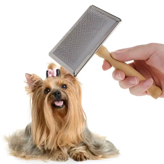 Brosse nettoyage pour animaux compagnie