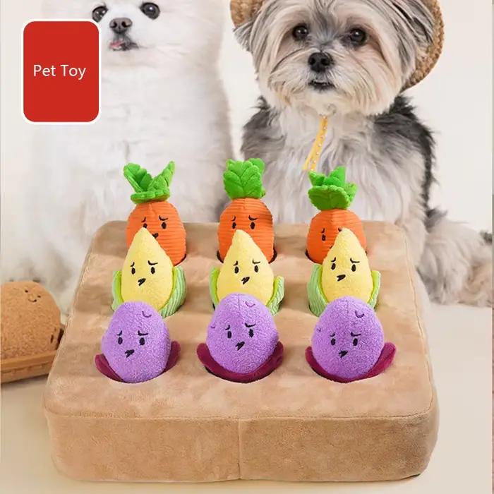 Jouets interactifs pour chiens