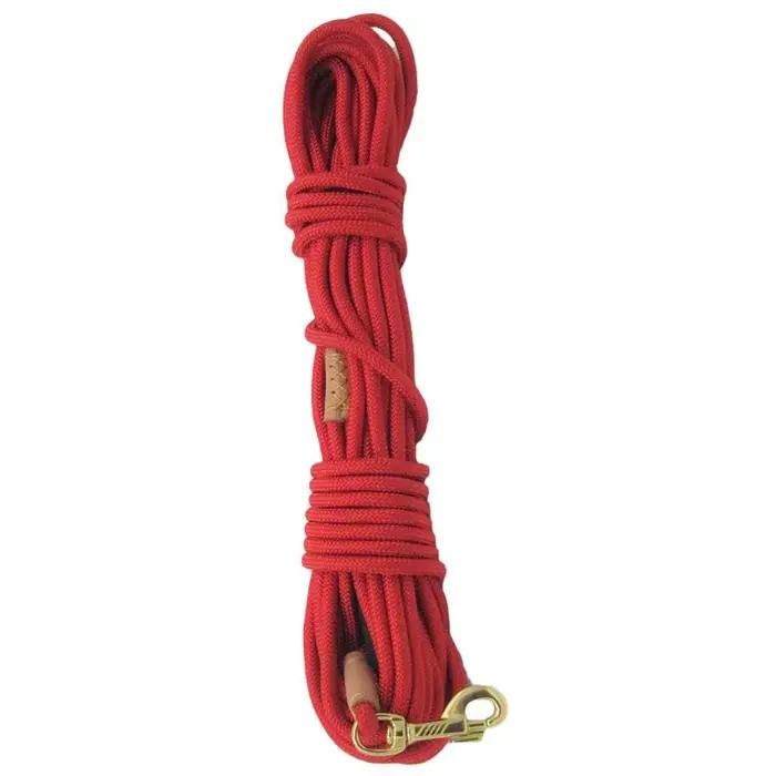 Laisse pour chien longue pour dressage
