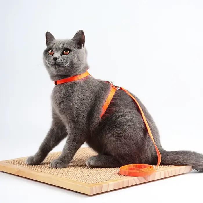 Collier réglable pour animaux de compagnie