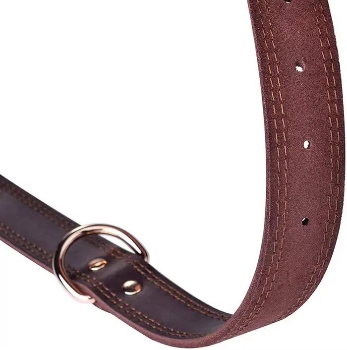 Benepaw – collier pour chien en cuir véritable de qualité