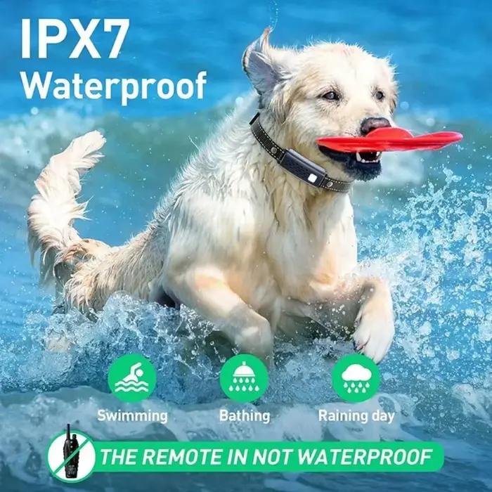 Collier Anti-Aboiement Électrique pour Chien
