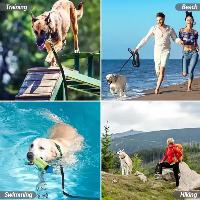 Laisse longue pour chiens de 1,5 m à 50 m, laisse extra-longue pour chiot, corde en nylon pour l'entraînement en extérieur, accessoires pour chiens, laisses de contrôle étendues