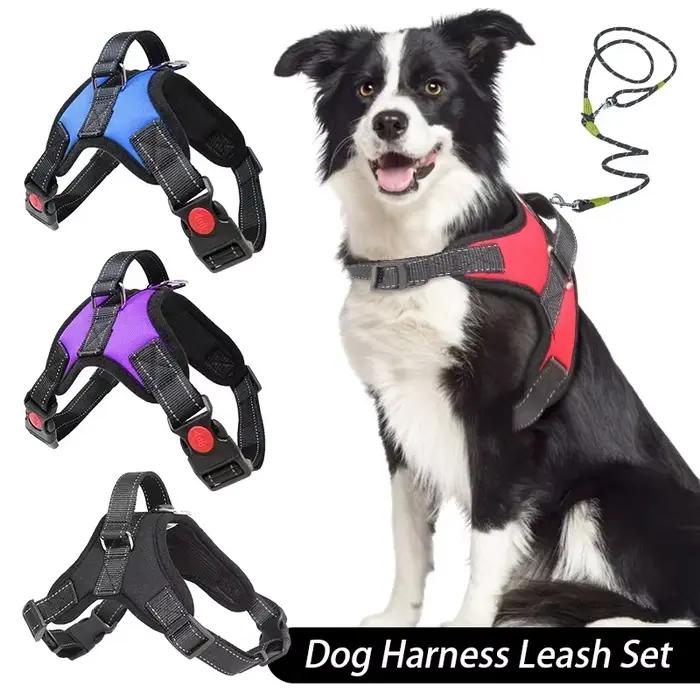 Ensemble laisse et laisse SFP pour chien
