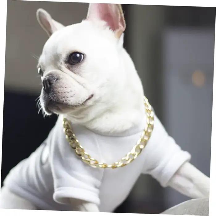 Collier de chien élégant en chaîne à maillons dorés et argentés