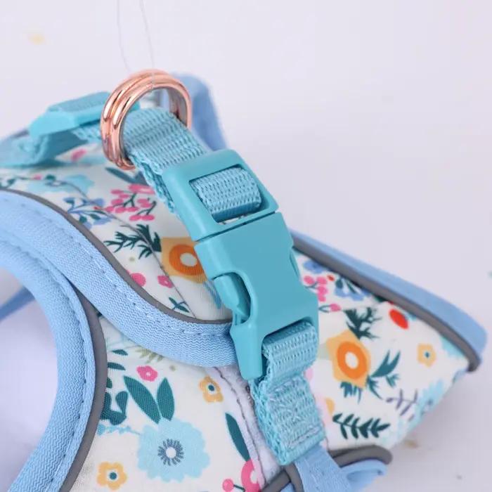 Ensemble de harnais et laisse pour petit chien