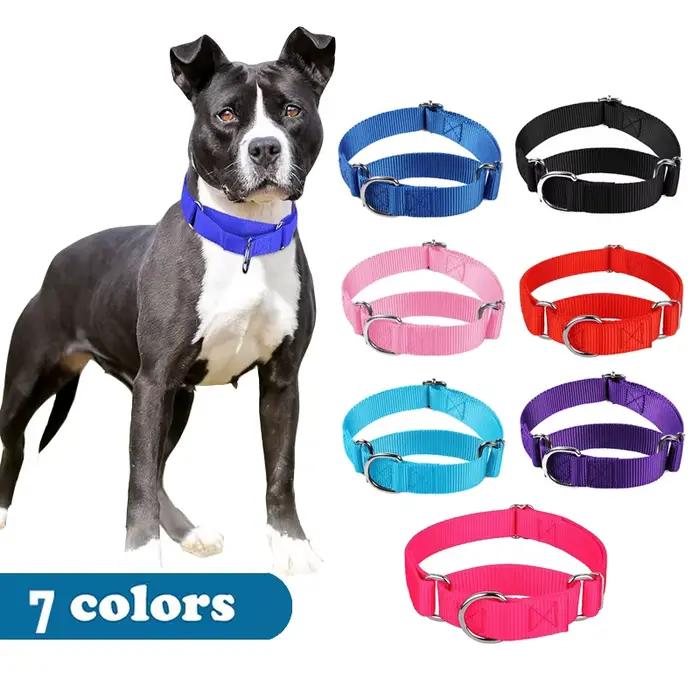 Collier pour chien en Nylon Martingale robuste
