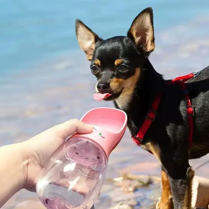 Bouteille d'Eau Portable Personnalisée pour Chien et Chat