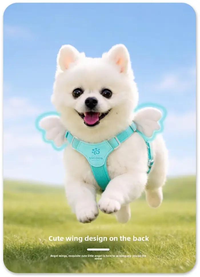 Nouveau harnais pour chien adapté aux chiens de petite et moyenne taille