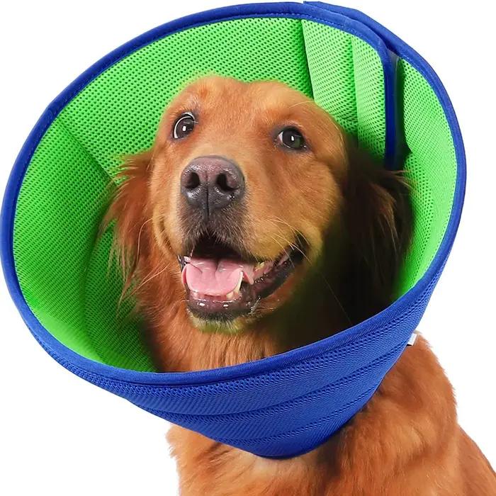 Collier conique pour chien