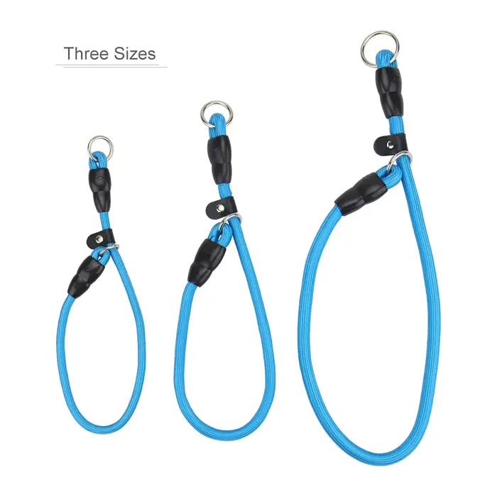 Collier Rond Tressé pour Chien, Accessoire d'Entraînement sans Nervures, Colliers Antidérapants avec Anneau d'Arrêt Coulissant, Idéal pour Petits et Moyens Chiens