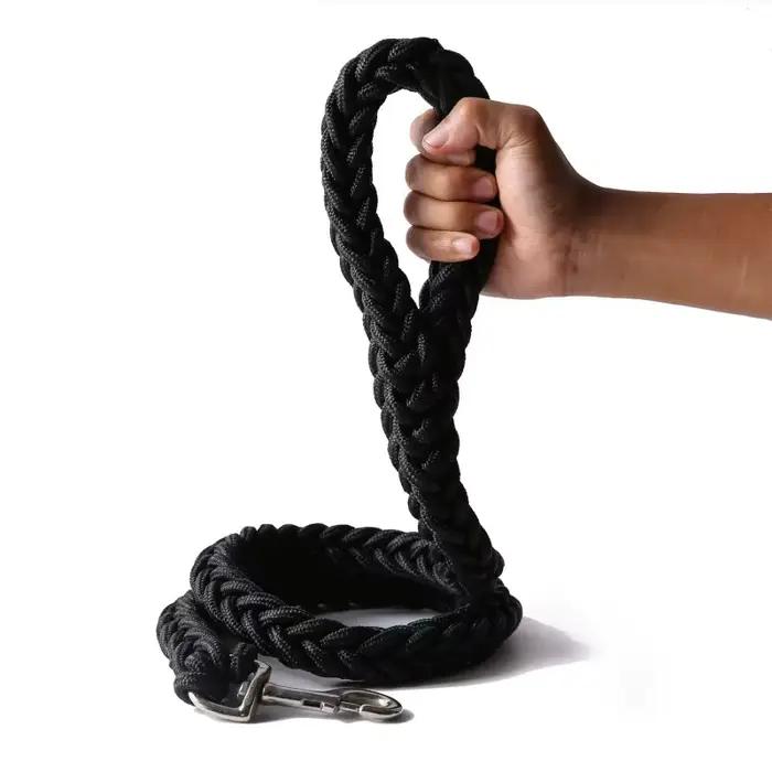 Grande laisse pour chien