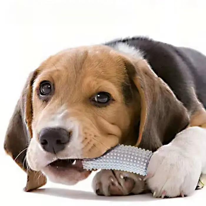 Brosse à dents pour chiots