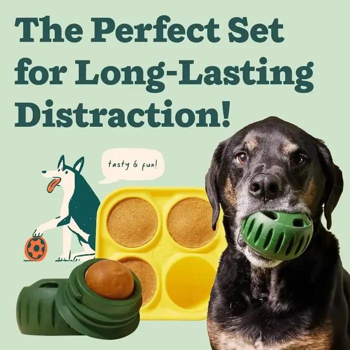 Jouets interactifs pour chiens pour l'ennui