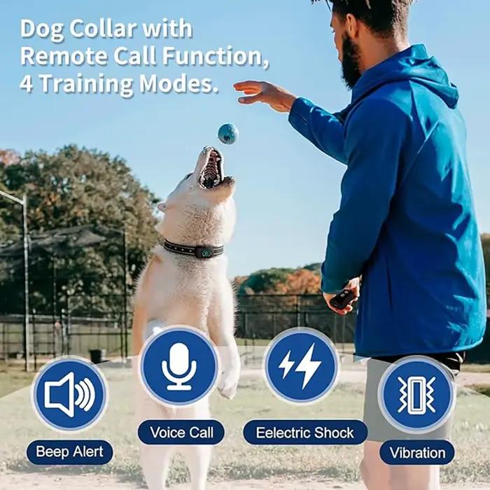Collier de dressage pour chien avec télécommande