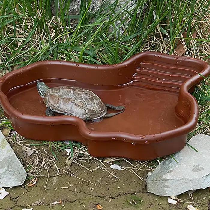 Plat d'alimentation pour tortue