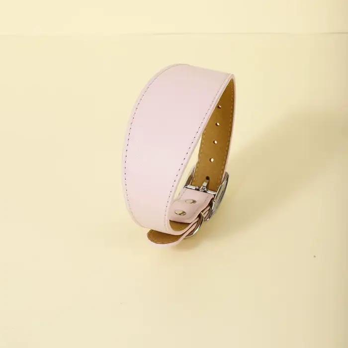 Collier pour animaux de compagnie en PU