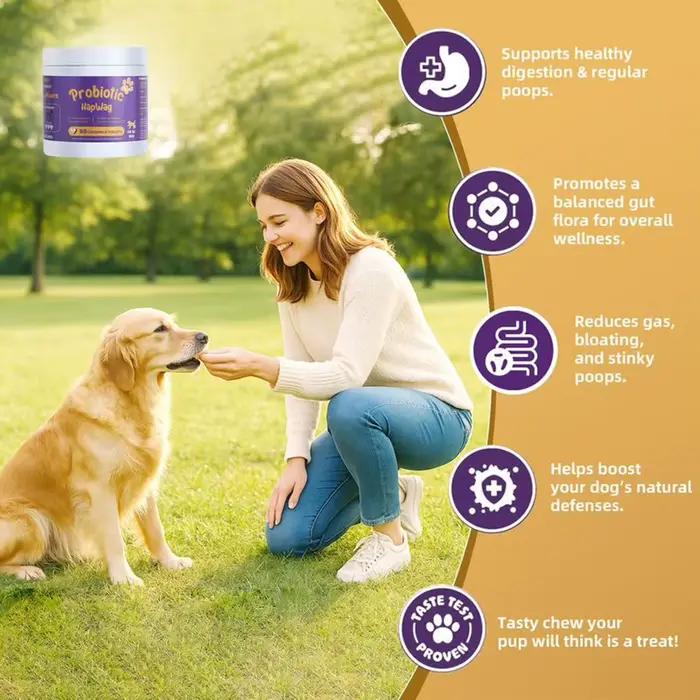 Compléments Probiotiques pour Chiens – 90 Comprimés – Enzymes Digestives pour la Santé de la Flore Intestinale