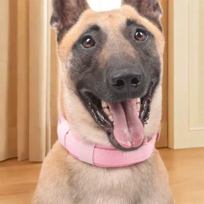 Collier d'entraînement pour chien réglable et pratique