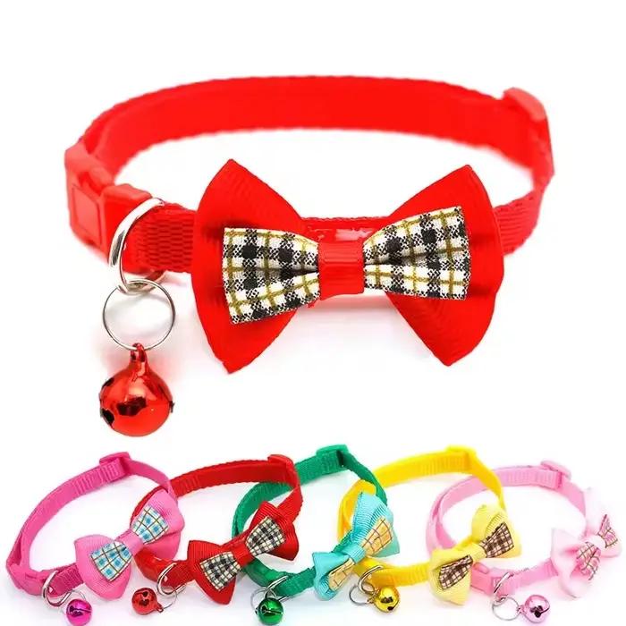 Collier pour chien mignon